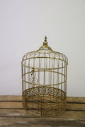 Cage oiseau doré
