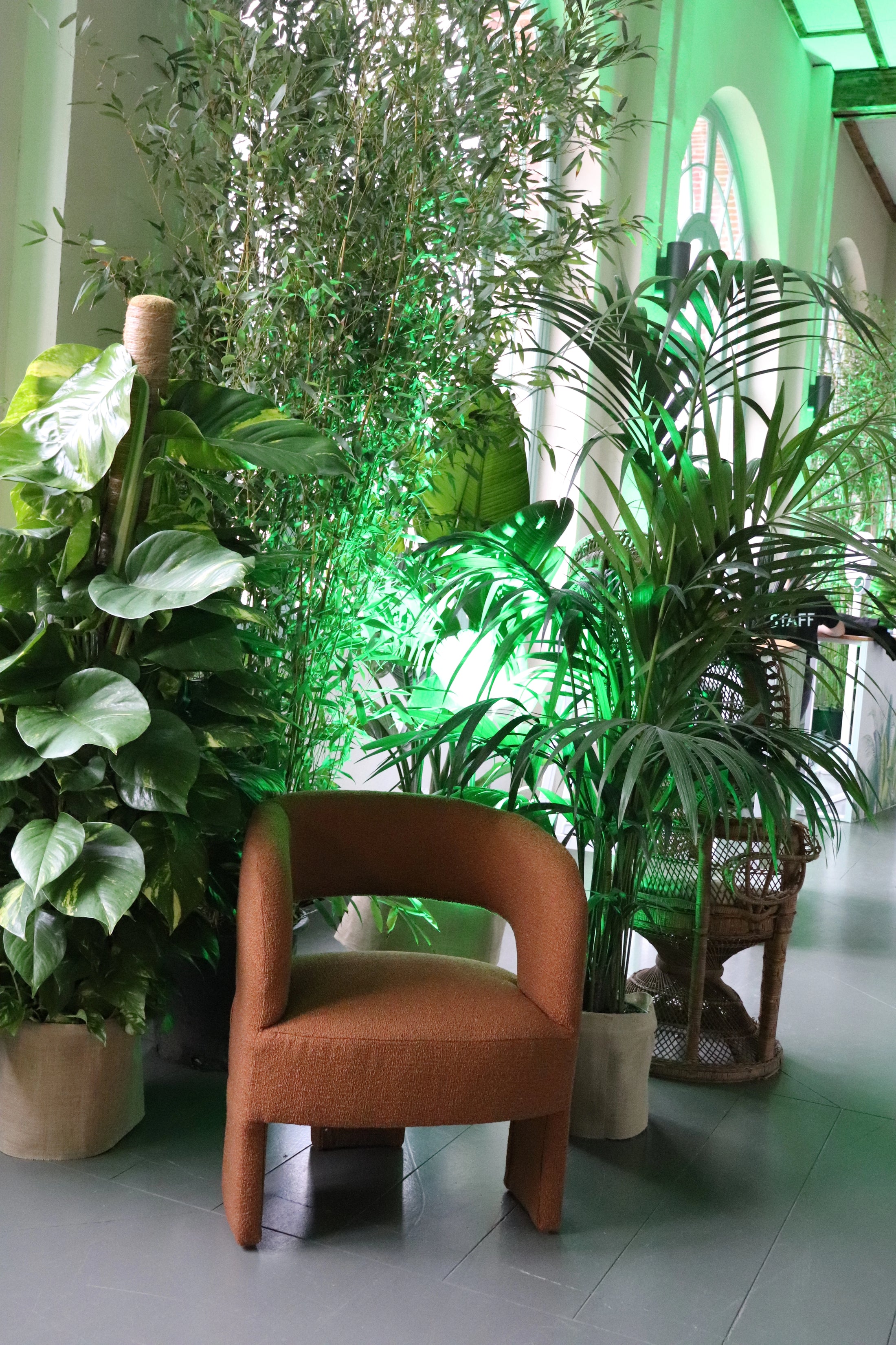 Fauteuil marron au design arrondi