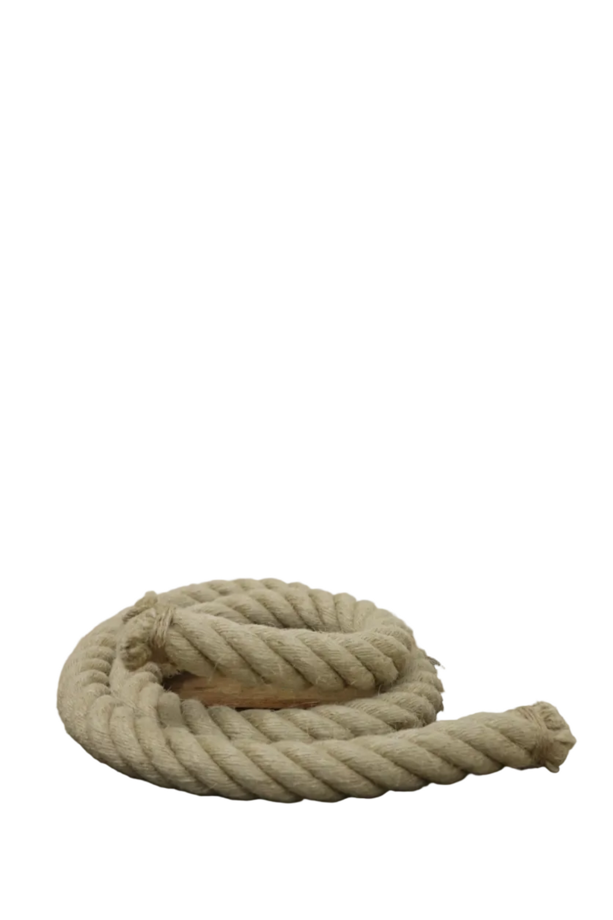 Corde décorative