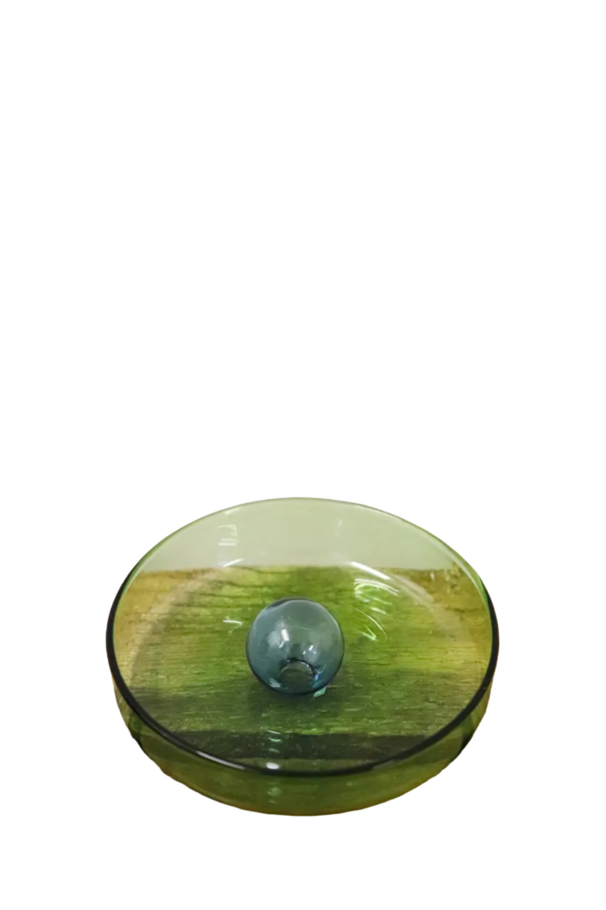 Coupelle à bulle vert-bleu design
