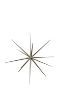 Etoiles 4D argent