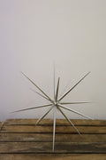 Etoiles 4D argent