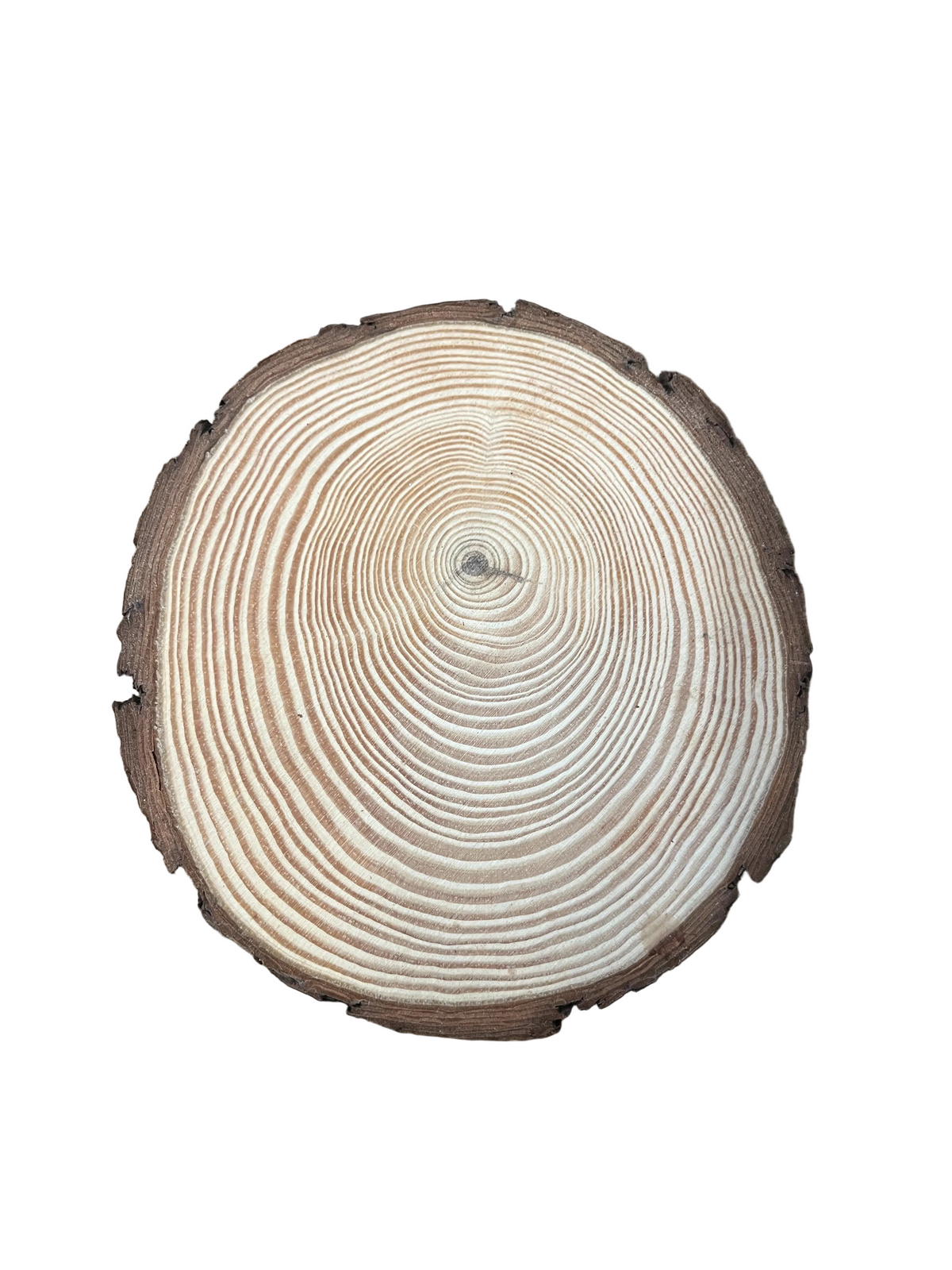 Grands rondin de table bois (lot 10)
