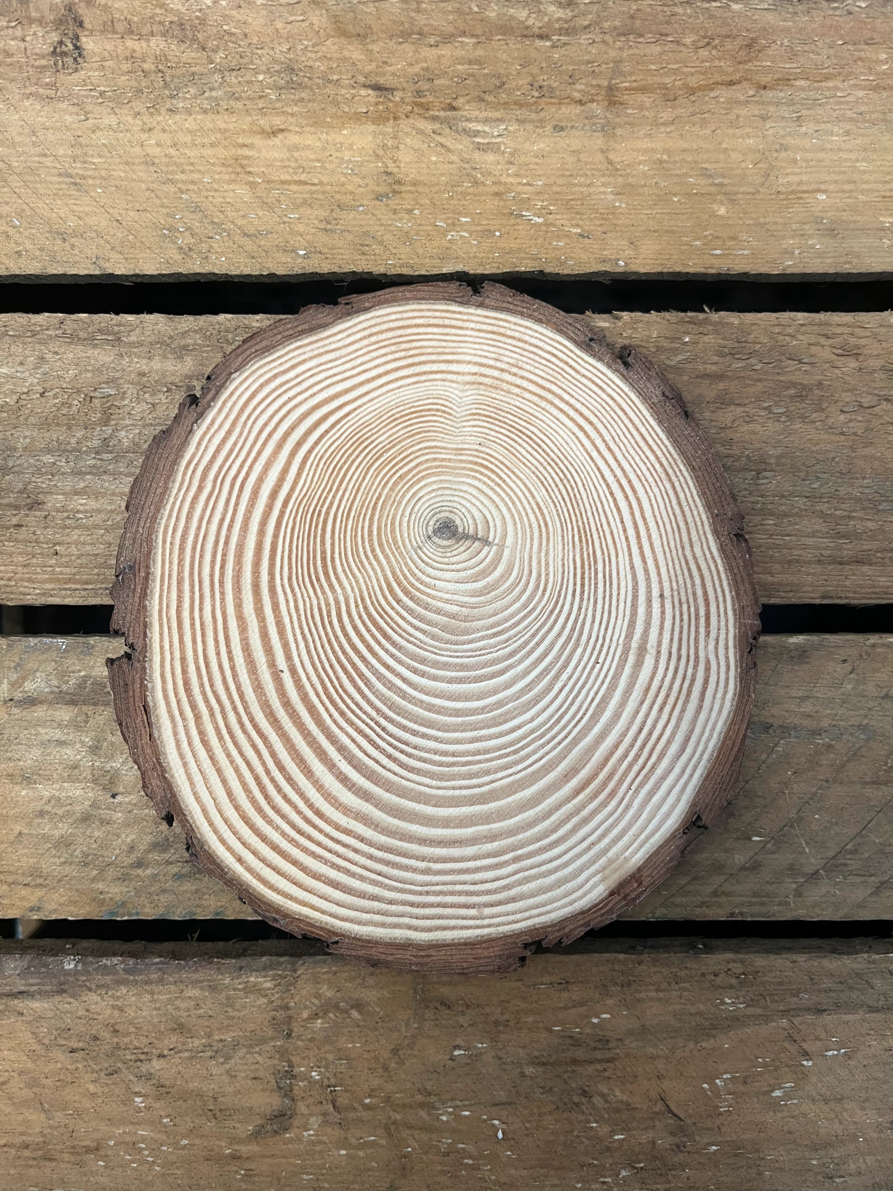 Grands rondin de table bois (lot 10)