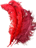 Plumes autruches rouges