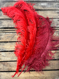 Plumes autruches rouges