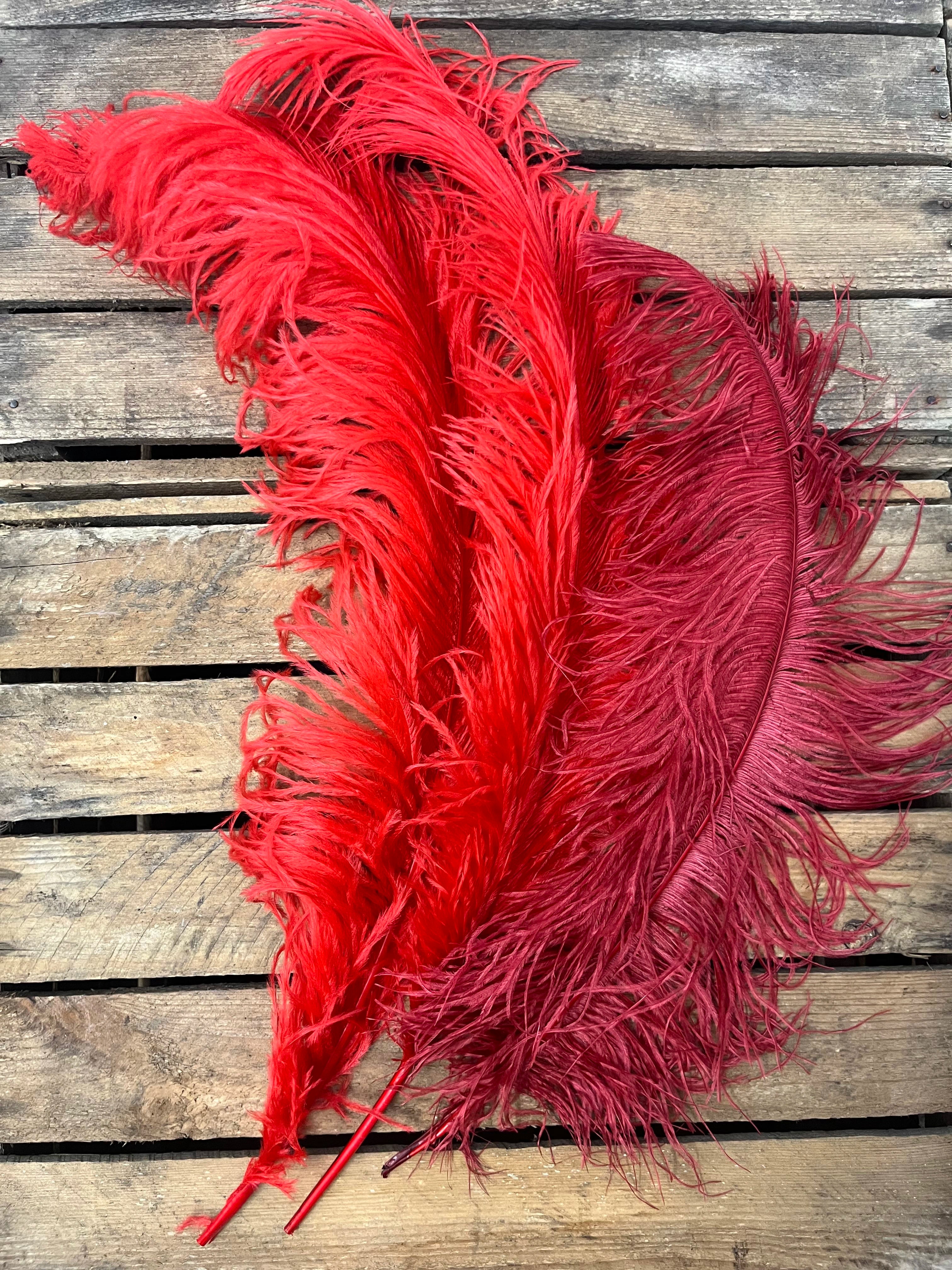 Plumes autruches rouges