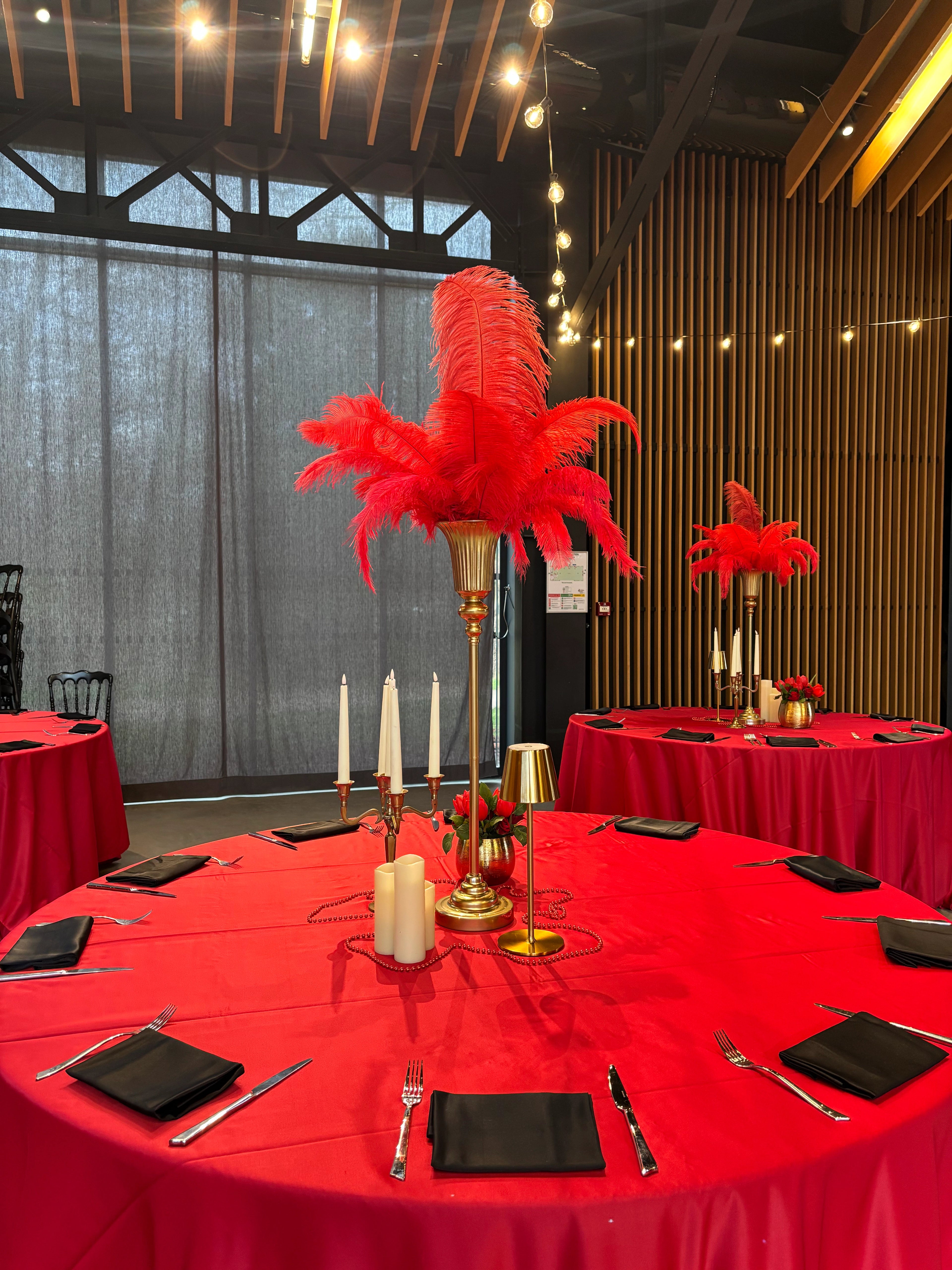 Plumes autruches rouges