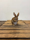 Lapin en résine