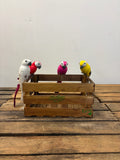 Petits perroquets (lot de 4)