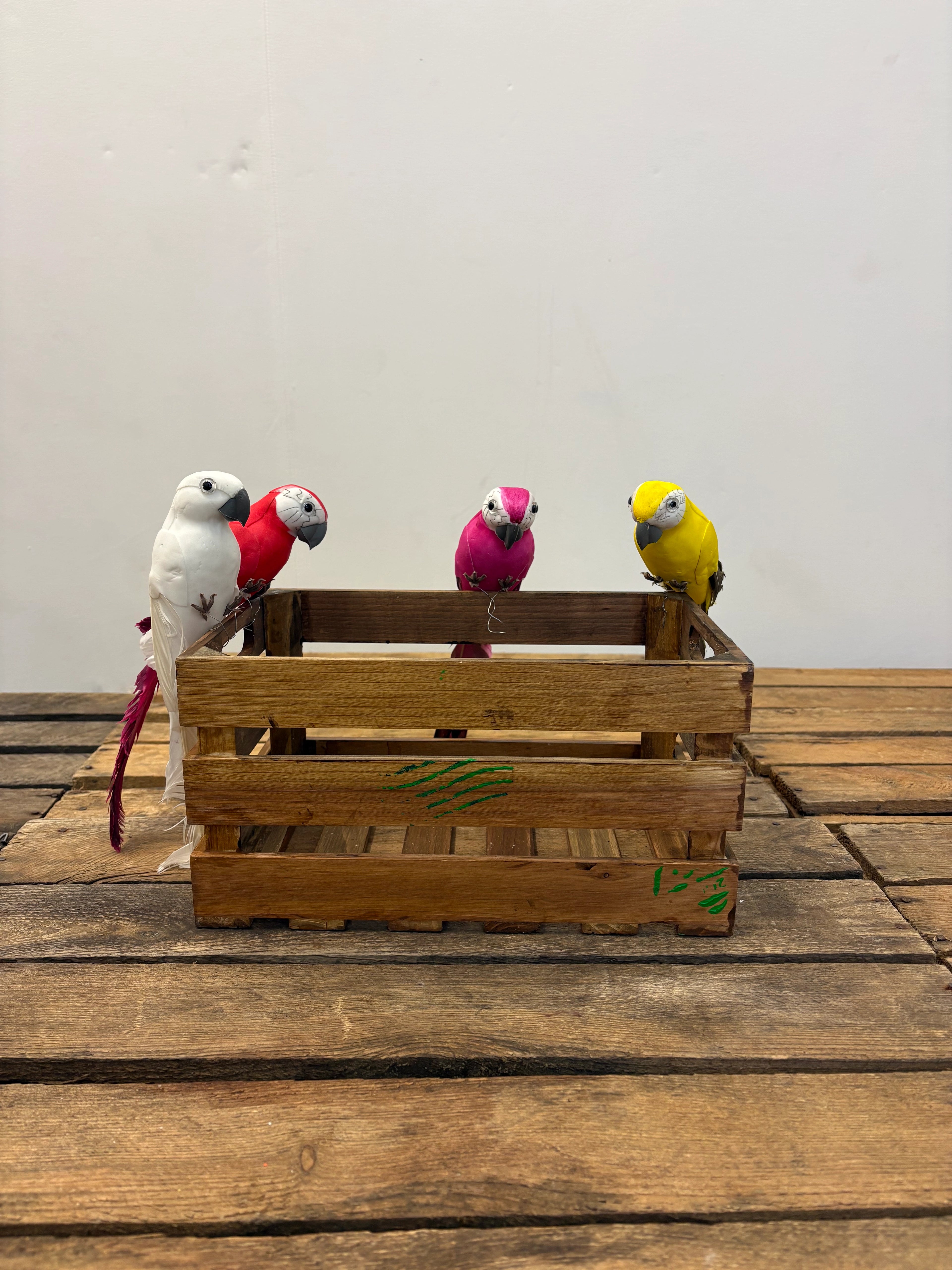 Petits perroquets (lot de 4)