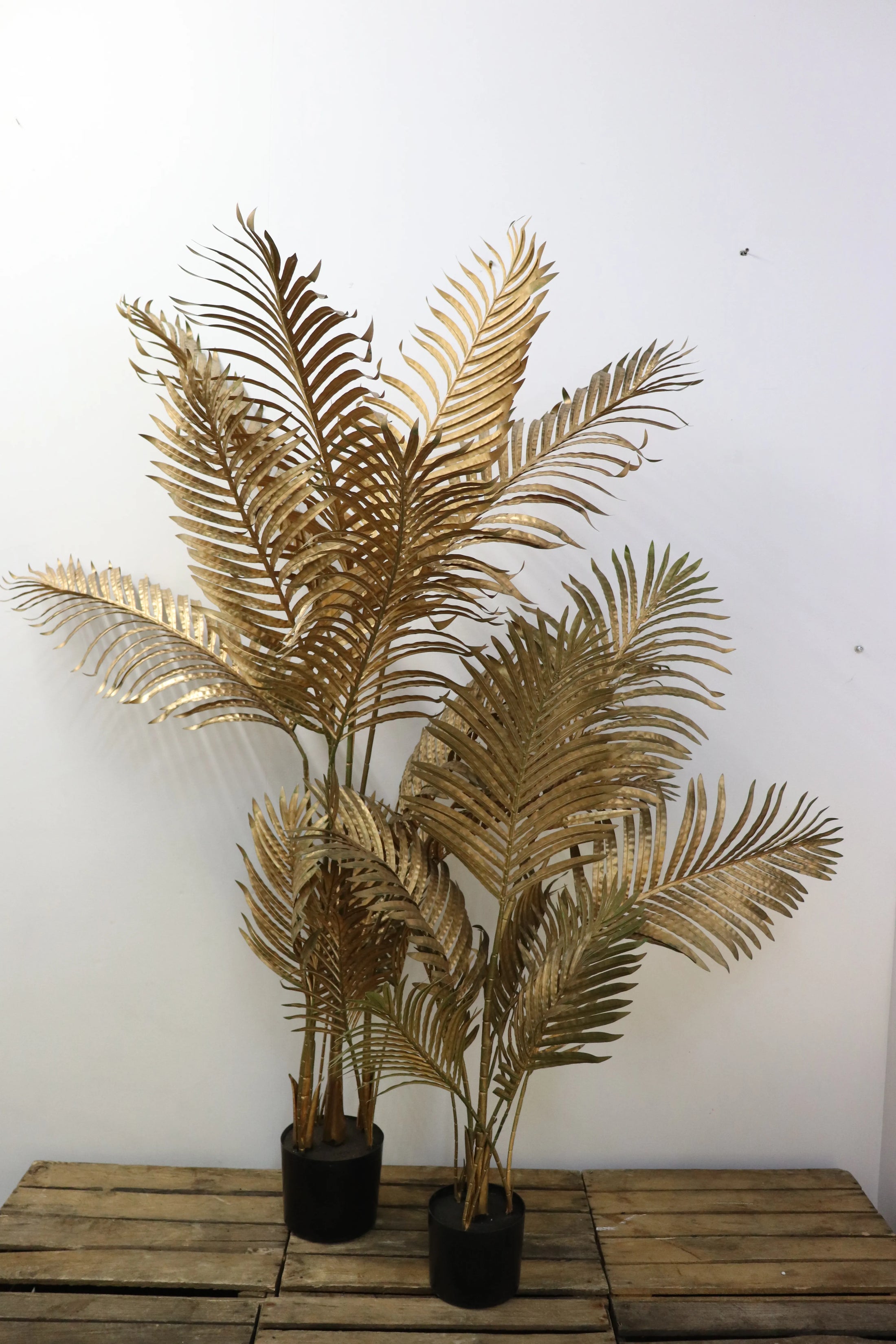Plantes dorées