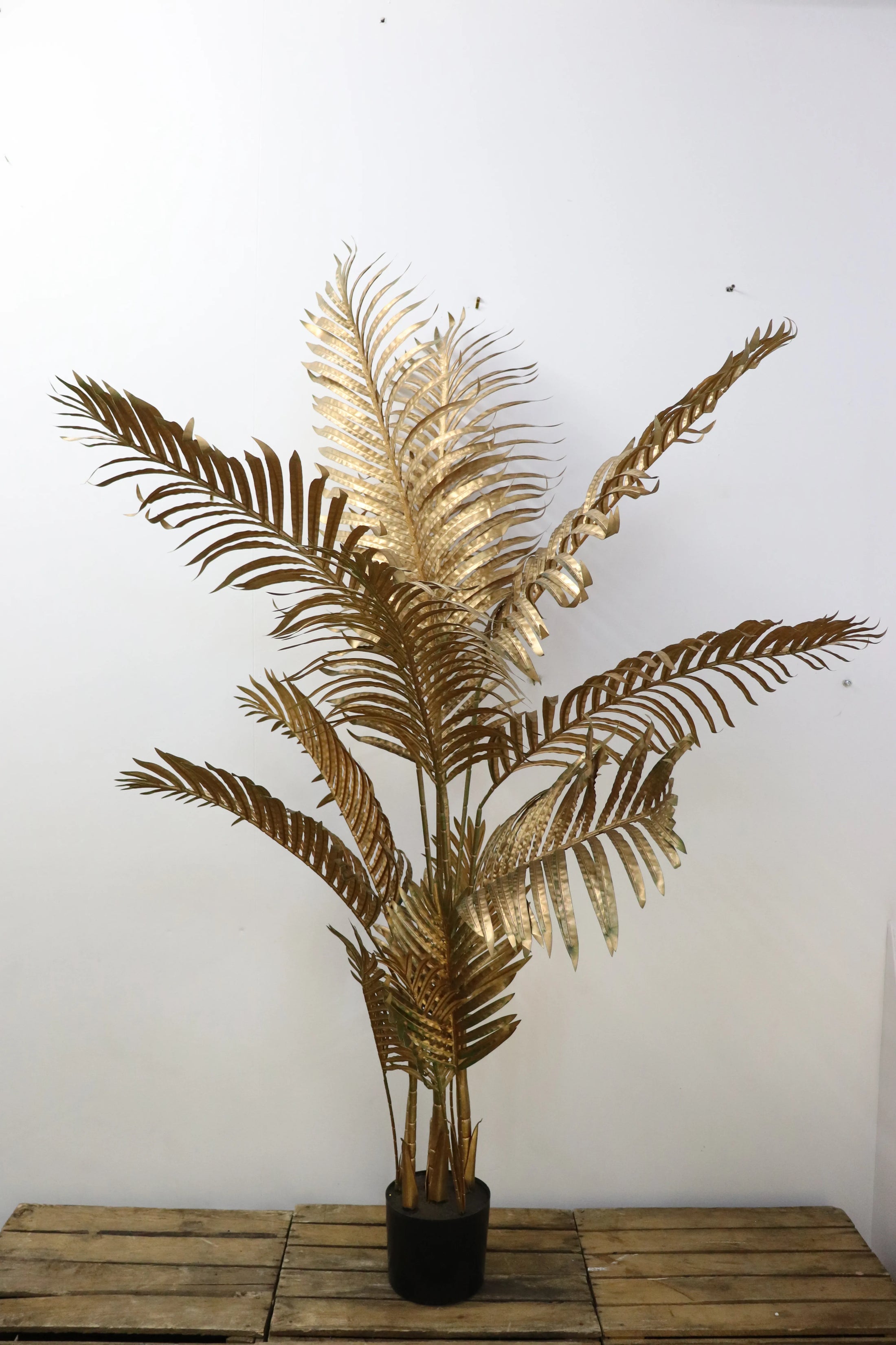 Plantes dorées