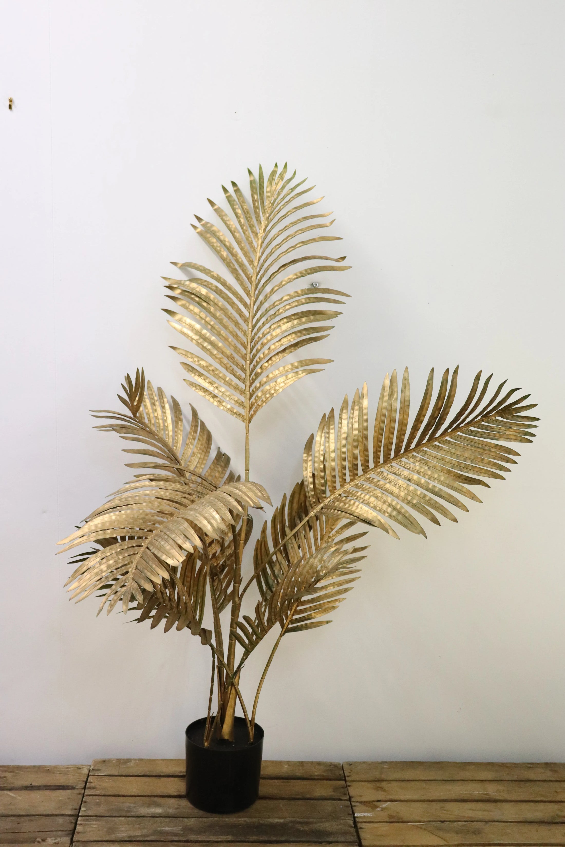 Plantes dorées