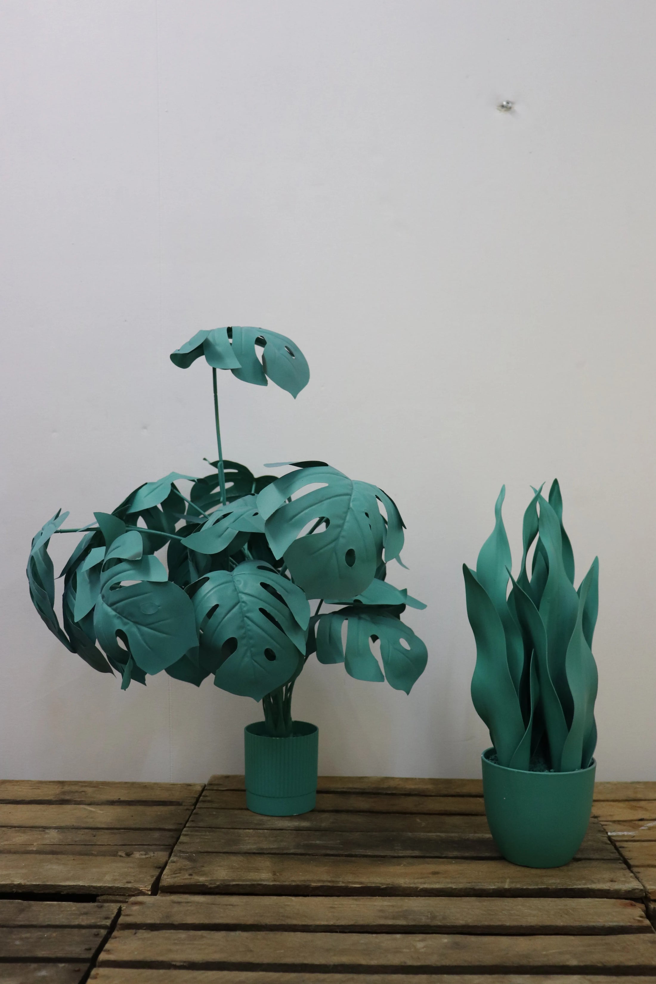 Plantes colorées (lot de 2)