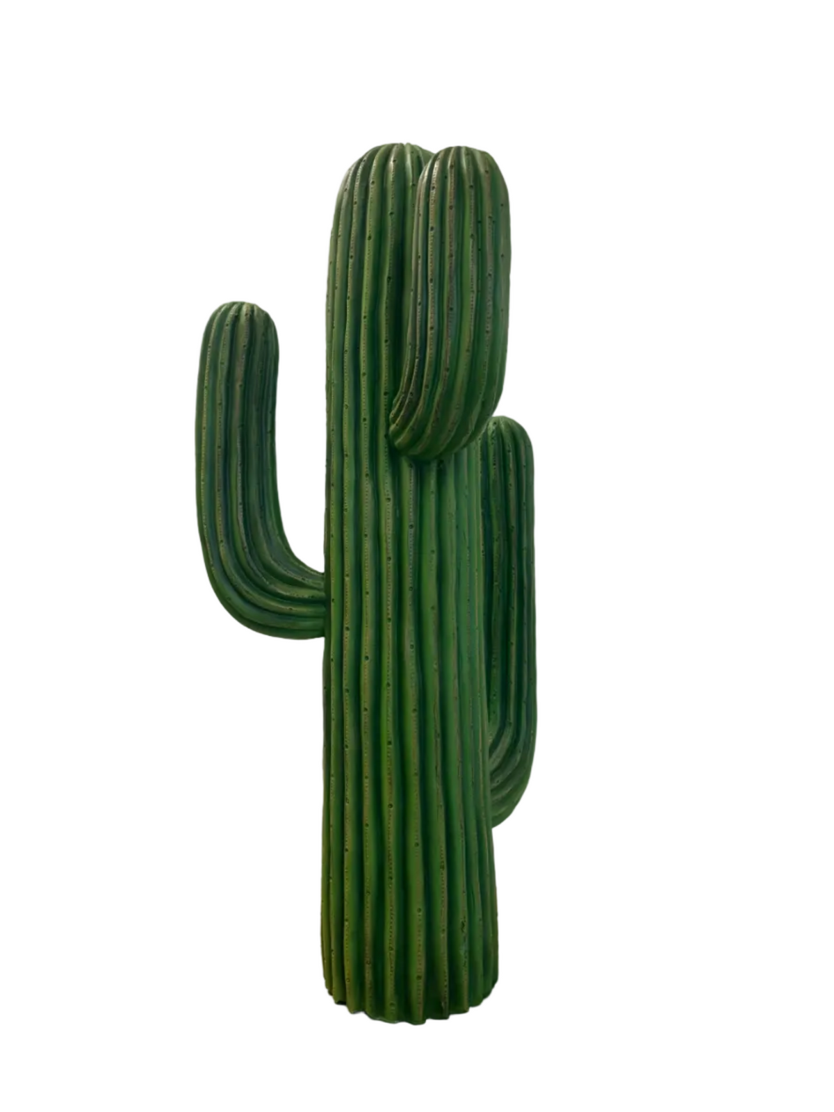 Cactus en résine