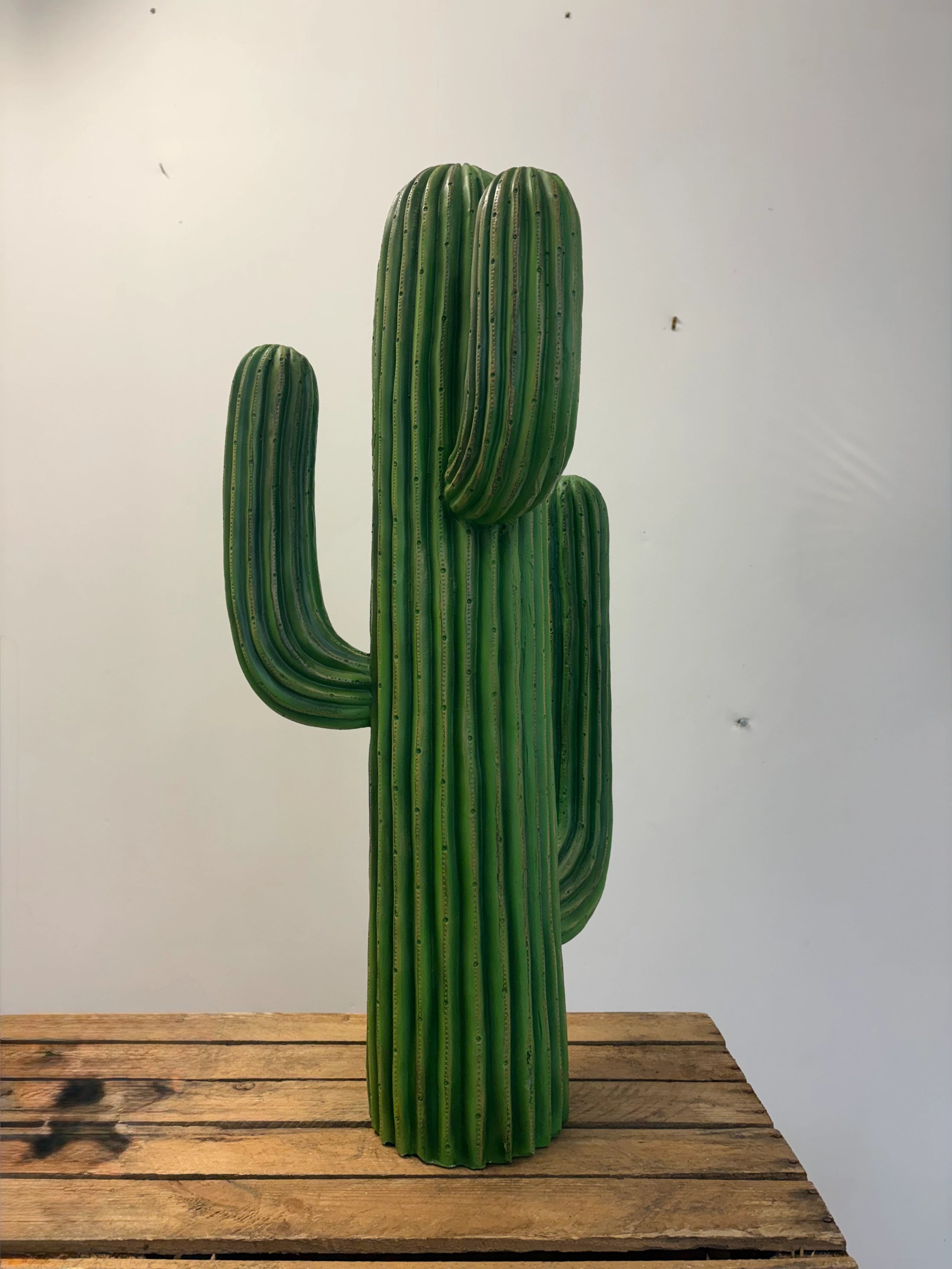 Cactus en résine